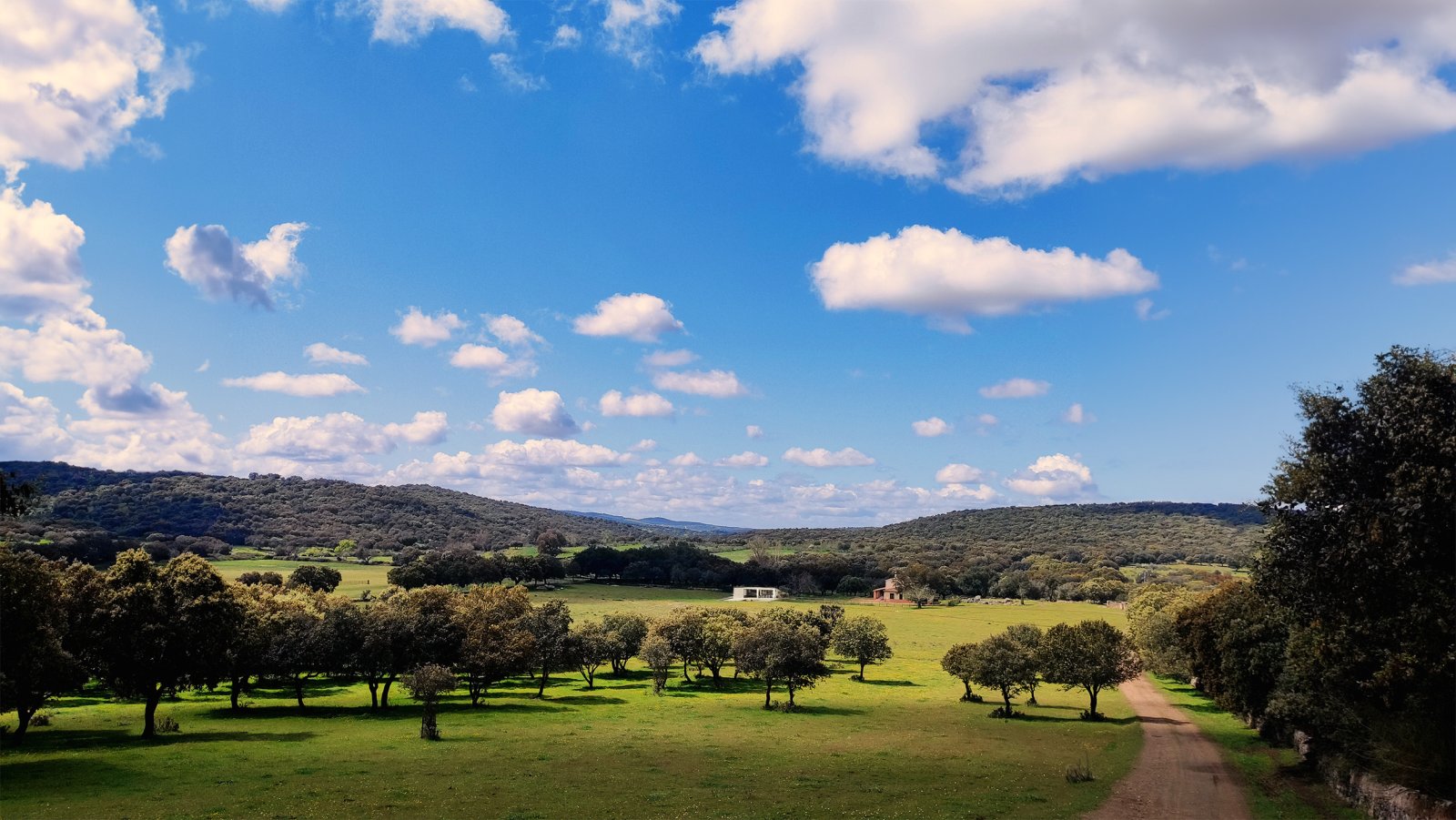 Paisaje de dehesa con encinas, prados verdes, edificación rural y montañas al fondo