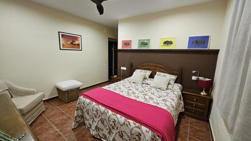 Dormitorio rústico con cama de matrimonio, cabecero marrón y cuadros coloridos decorativos