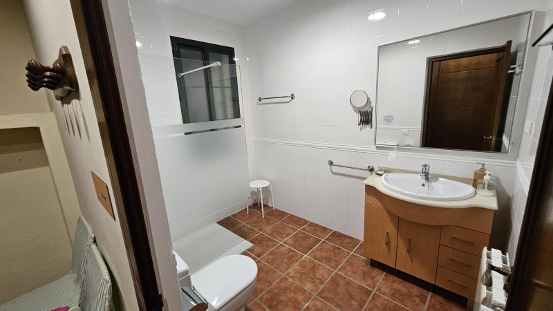 Baño adaptado con ducha accesible, inodoro, lavabo con mueble de madera y espejo.