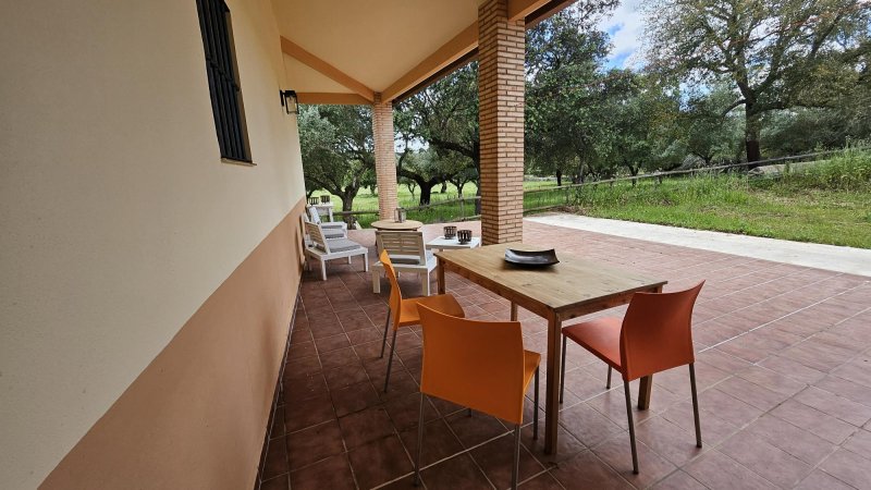 Porche exterior con mesa de madera y sillas naranjas rodeado de árboles